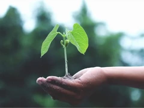 Beneficios Ambientales del Uso de un Inodoro Químico: Reducir el Desperdicio de Agua y Conservar Recursos